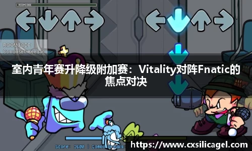 室内青年赛升降级附加赛：Vitality对阵Fnatic的焦点对决