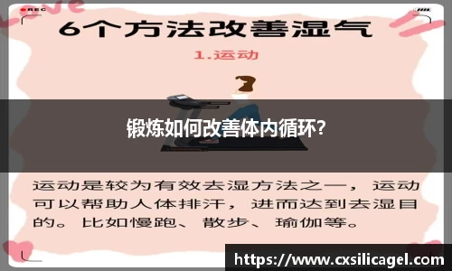 yl6809永利