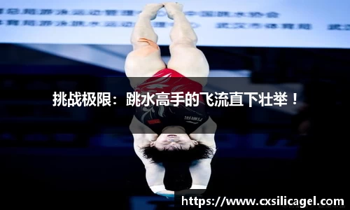 yl6809永利