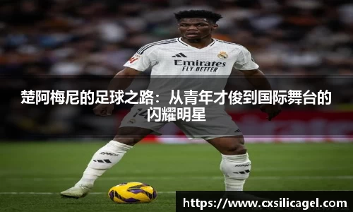 楚阿梅尼的足球之路：从青年才俊到国际舞台的闪耀明星