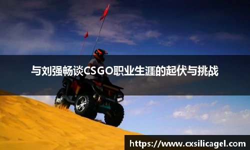 与刘强畅谈CSGO职业生涯的起伏与挑战